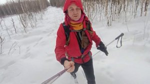 лыжи за 3000руб  для бэккантри туризма в средней полосе ))). маяк "турист" с nnn креплениями