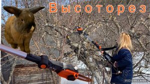 Высоторез аккумуляторный. Польза или вред?