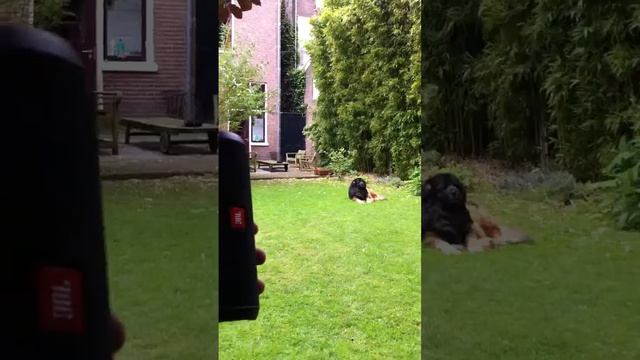 Testing Jbl Connect range - Jbl Charge 3 + Jbl Flip 3 смотреть онлайн