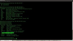 Server Load Balancing lab in GNS3