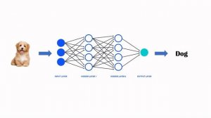 How Tesla Uses Machine Learning |  The Age of A.I. | Tech Series