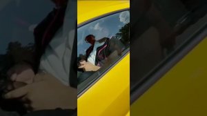 Литвин разбил ламбу Субы.