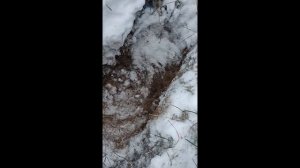 Рабочие Моменты: Как заставить Деус работать в сложном грунте?