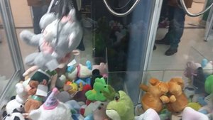 МИЛЫЙ КОТИК В АППАРАТЕ 🥰