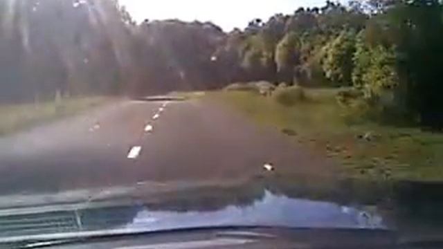 VEGAS' JAGUAR EXECUTIVE on the road / Karst Region смотреть онлайн