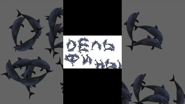 я хочу быть как все эти дельфины! анимация в powerpoint @Ksenonmusic
