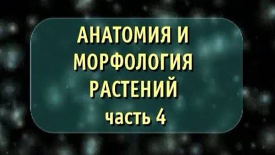 Биология. Анатомия и морфология растений. Часть 4. Цветок. Соцветие. Плод