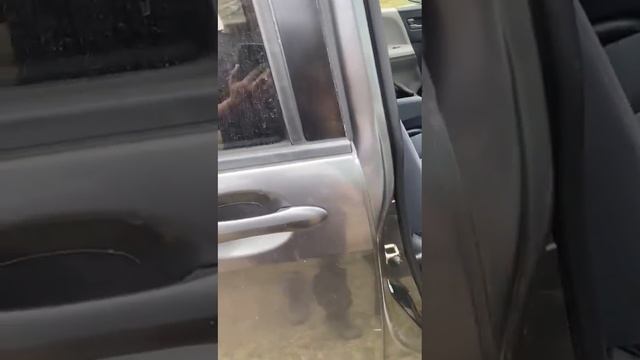 Отзыв клиента из Забайкалья Honda Freed