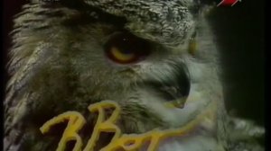 Фрагмент эфира Вопросы и Ответы (27.05.13)