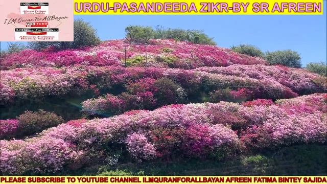 URDU PASANDEEDA ZIKR ILMQURANFORALLBAYAN AFREEN FATIMA BINTEY SAJIDA 51SEC смотреть онлайн