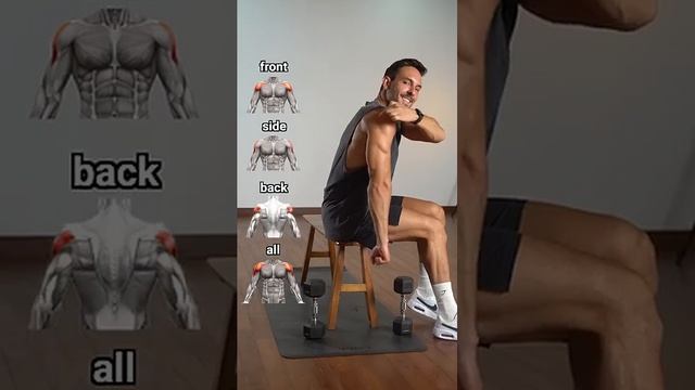 Exercises for 3D shoulders ✅