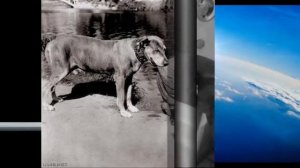 Оригинальный подарок - живой фотоальбом