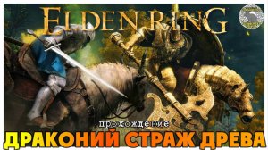 Elden Ring прохождение #39 I Драконица Лансеакс I Могила героя святого I Драконий Страж Древа