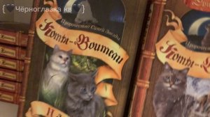Моя коллекция книг «Коты-Воители» Чёрноглазка кв