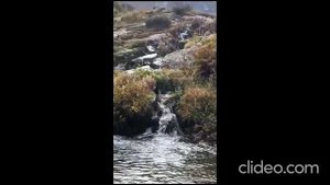 Путешествие на Красную поляну