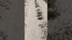 Mustang (Short video) Nepal 10-2024