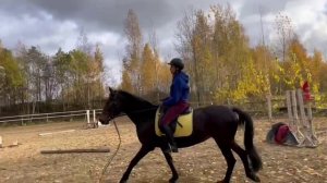 YouCut_20241022_154944385.mp4
