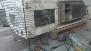 реф термокинг