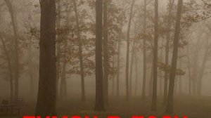 Презентация для детей по Доману. Времена года