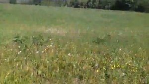 Разведенный выхлоп Гранд Чероки ZJ 4.0л.