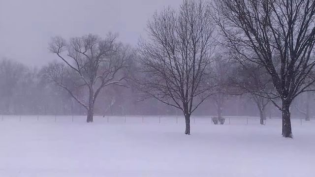 Snow out the window of Rodney (away from the street, back window) 01 смотреть онлайн