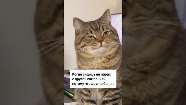 Как ты мог оставить меня с ними?!