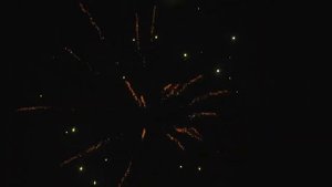 Виват Суворов 20х1.1
