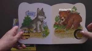 Музыкальная книга "Живем в лесу" Карусельки. Азбукварик. Видео-обзор