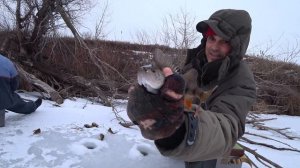 Второе перволедье, на Крещение окунь нас порадовал!