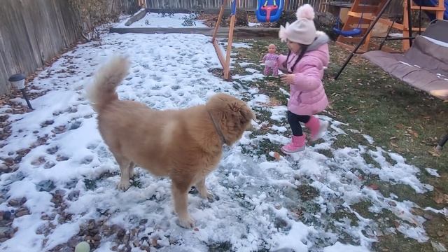 Домашний Влог/Дети/Собачка/Узбеки в США/Tashkent city/Uzbekistan/Amerika/Снег во дворе/Uzbek blogge смотреть онлайн