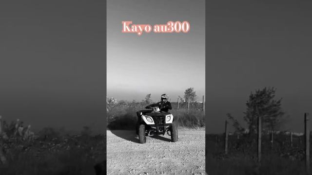 На что способен малыш Kayo au300