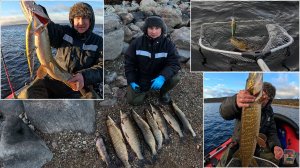 ОСЕННИЙ ТРОЛЛИНГ