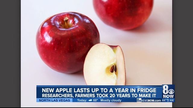 New Apple lasts up to a year in the fridge смотреть онлайн