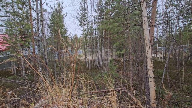 3790499 Урожай смотреть онлайн