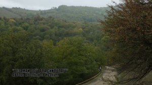 Исбаьхьа НОХЧИЙН ИЛЛЕШ. Самукъане миноташ