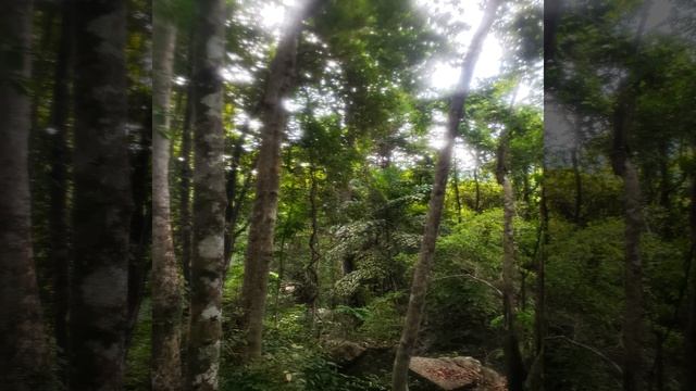 soul maintenance смотреть онлайн