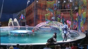 Цирк на воде. КРАСНОДАР 2020. Часть 8. Морские львы