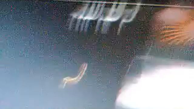 virtual pc 2007 boot time resulats 2.wmv смотреть онлайн