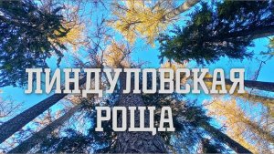 Линдуловская роща (Ленинградская область)