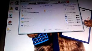 Как скачать КэтВар на Windows
