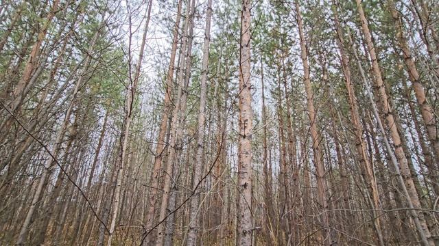 3774684 Озерное смотреть онлайн