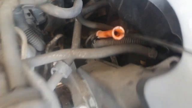 Разборка Seat - Ibiza 3 2001-2006, 1.4 (VIN: VSSZZZ6L24R028527) 37566 смотреть онлайн