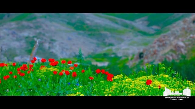 Бу дунёнинг жаннати - Пангат! Пангат - рай на Земле! (Кошрабадский район)) смотреть онлайн