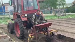 Т-25. Сажаем картофель.