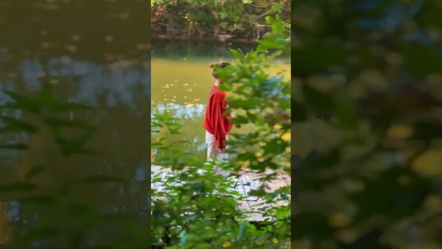 Прозрачный Бабл шар в Уфе