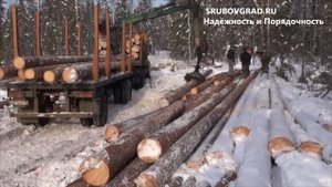 Лесозаготовка