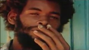Bob Marley vs. Funkstar De Luxe - Sun Is Shining (Radio) Official Video