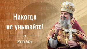 Никогда не унывайте! Проповедь прот. Андрея Лемешонка 20 октября 2024 г.