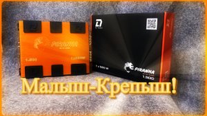 Обзор моноблока DL Audio Piranha 1.500