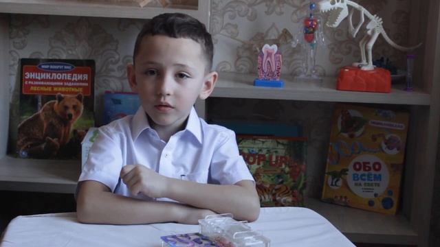 Муравьи-удивительные насекомые смотреть онлайн